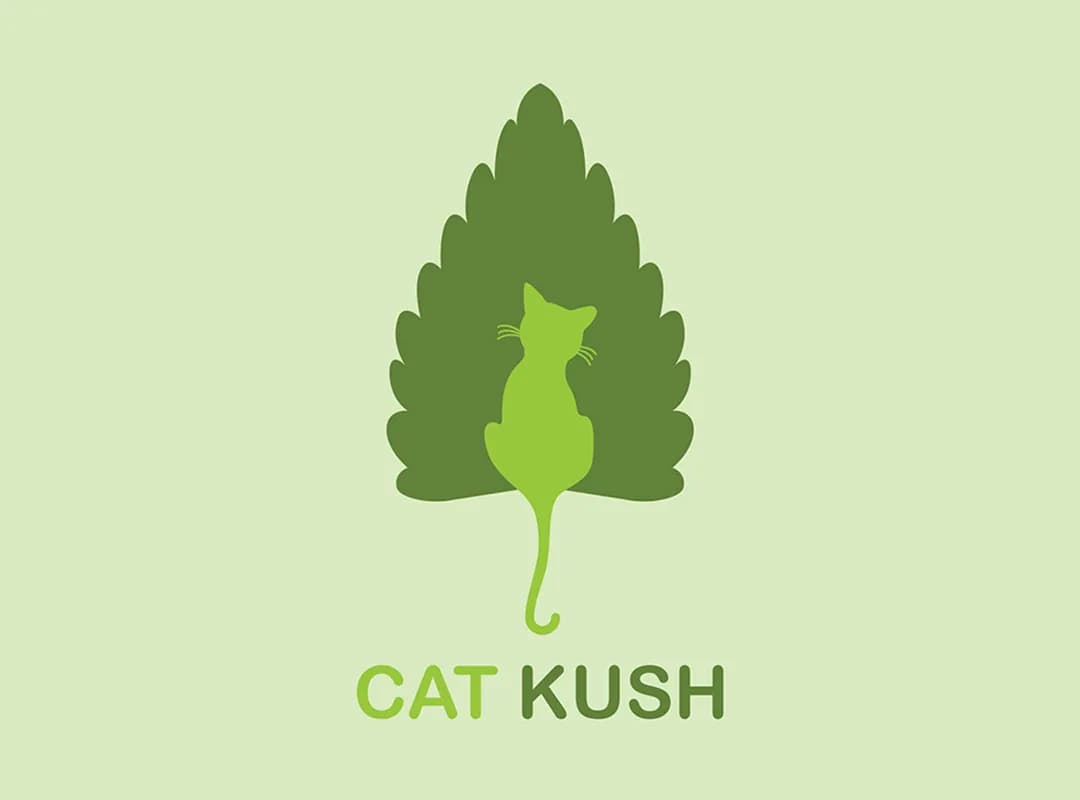 Desain Logo Cat Kush – Brand Minimalis Natural